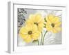 Colori Yellow I-Pamela Gladding-Framed Art Print