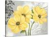 Colori Yellow I-Pamela Gladding-Stretched Canvas