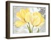 Colori Yellow II-Pamela Gladding-Framed Art Print