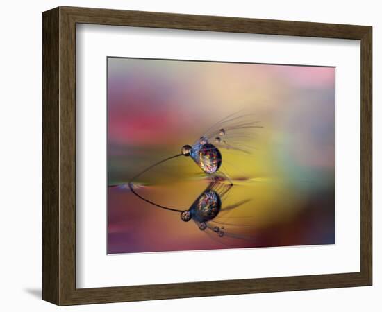 Colorize the darkness-Heidi Westum-Framed Photographic Print