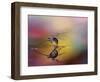 Colorize the darkness-Heidi Westum-Framed Photographic Print