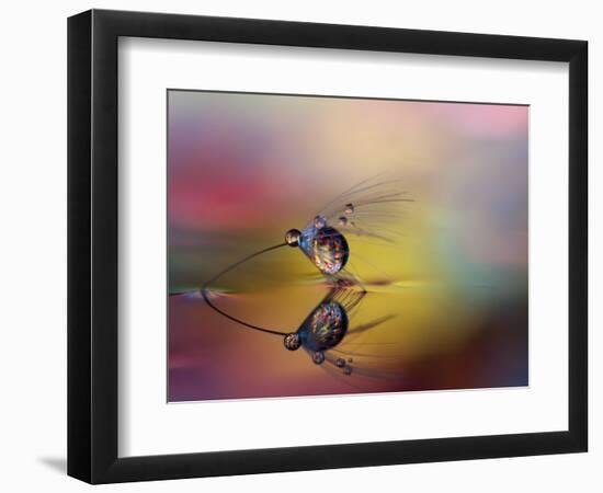 Colorize the darkness-Heidi Westum-Framed Photographic Print