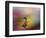 Colorize the darkness-Heidi Westum-Framed Photographic Print