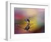 Colorize the darkness-Heidi Westum-Framed Photographic Print