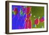 Colors And Shapes (4)-Incredi-Framed Giclee Print