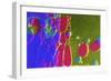 Colors And Shapes (4)-Incredi-Framed Giclee Print