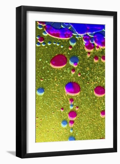 Colors And Shapes (5)-Incredi-Framed Giclee Print