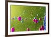 Colors And Shapes (6)-Incredi-Framed Giclee Print