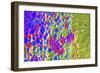 Colors And Shapes-Incredi-Framed Giclee Print