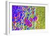 Colors And Shapes-Incredi-Framed Giclee Print