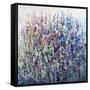 Colors in Bloom-Tim O'toole-Framed Stretched Canvas