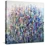 Colors in Bloom-Tim O'toole-Stretched Canvas