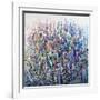 Colors in Bloom-Tim O'toole-Framed Giclee Print