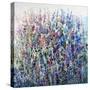 Colors in Bloom-Tim O'toole-Stretched Canvas