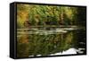 Colors Of Autumn Reflected In Water-Anthony Paladino-Framed Stretched Canvas