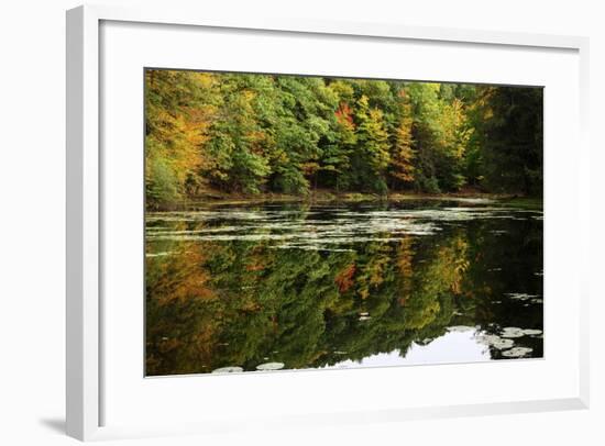 Colors Of Autumn Reflected In Water-Anthony Paladino-Framed Giclee Print