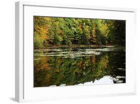 Colors Of Autumn Reflected In Water-Anthony Paladino-Framed Giclee Print