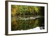 Colors Of Autumn Reflected In Water-Anthony Paladino-Framed Giclee Print