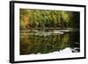 Colors Of Autumn Reflected In Water-Anthony Paladino-Framed Giclee Print