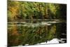 Colors Of Autumn Reflected In Water-Anthony Paladino-Mounted Giclee Print