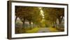 Colors of Autumn-Adelino Gonçalves-Framed Photographic Print