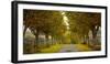 Colors of Autumn-Adelino Gonçalves-Framed Photographic Print
