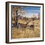 Colors of Autumn-Jeff Tift-Framed Giclee Print