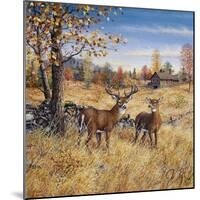 Colors of Autumn-Jeff Tift-Mounted Giclee Print