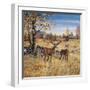 Colors of Autumn-Jeff Tift-Framed Premium Giclee Print