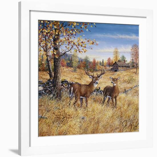 Colors of Autumn-Jeff Tift-Framed Giclee Print