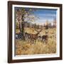 Colors of Autumn-Jeff Tift-Framed Giclee Print