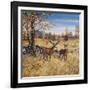 Colors of Autumn-Jeff Tift-Framed Giclee Print