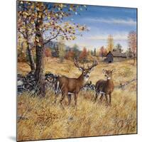 Colors of Autumn-Jeff Tift-Mounted Giclee Print