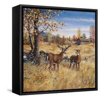 Colors of Autumn-Jeff Tift-Framed Stretched Canvas