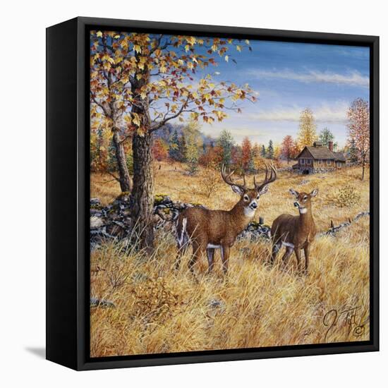 Colors of Autumn-Jeff Tift-Framed Stretched Canvas