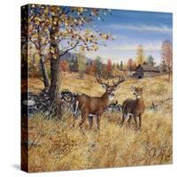 Colors of Autumn-Jeff Tift-Stretched Canvas