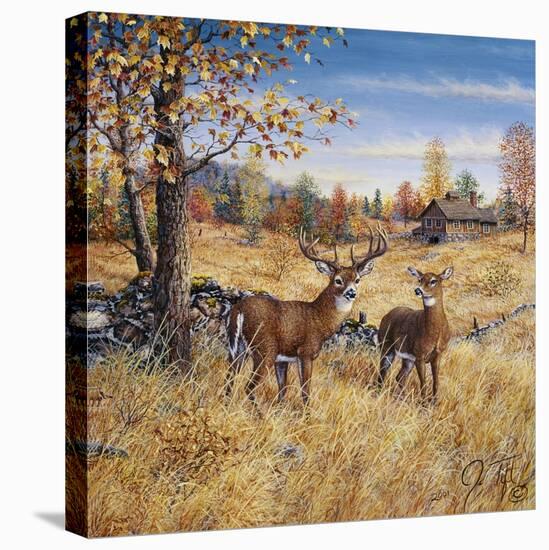 Colors of Autumn-Jeff Tift-Stretched Canvas