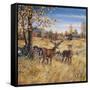 Colors of Autumn-Jeff Tift-Framed Stretched Canvas