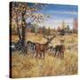 Colors of Autumn-Jeff Tift-Stretched Canvas