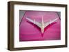 Colors of Cuba VI-Laura Denardo-Framed Photographic Print