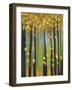 Colors of Fall I-Mark Pulliam-Framed Giclee Print