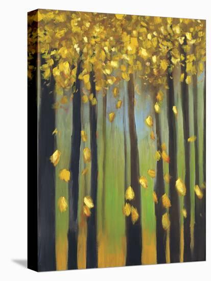 Colors of Fall I-Mark Pulliam-Stretched Canvas