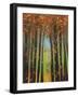 Colors of Fall II-Mark Pulliam-Framed Giclee Print