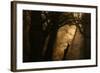 Colors of Fall-Norbert Maier-Framed Photographic Print