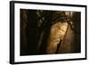 Colors of Fall-Norbert Maier-Framed Photographic Print