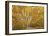 Colors of Fall-Darren White Photography-Framed Giclee Print