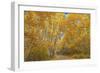 Colors of Fall-Darren White Photography-Framed Giclee Print