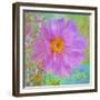 Colors Of Flowers I - Cosmos-Cora Niele-Framed Giclee Print