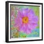 Colors Of Flowers I - Cosmos-Cora Niele-Framed Giclee Print