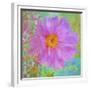 Colors Of Flowers I - Cosmos-Cora Niele-Framed Giclee Print